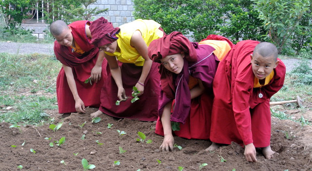 Tilokpur Nunnery